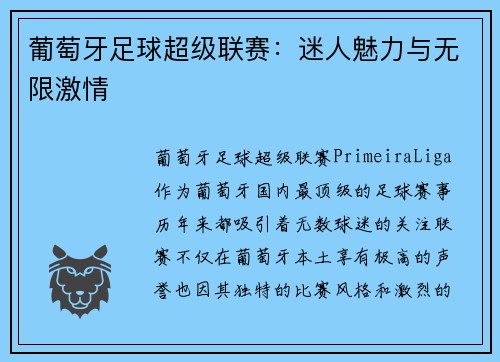 葡萄牙足球超级联赛：迷人魅力与无限激情
